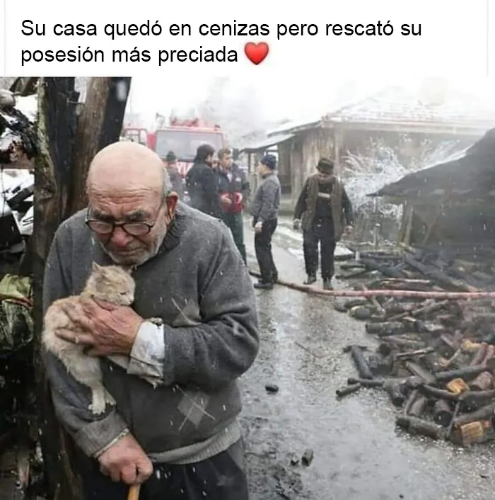20 Memes reconfortantes para alegrarte el día y devolverte la fe en la humanidad