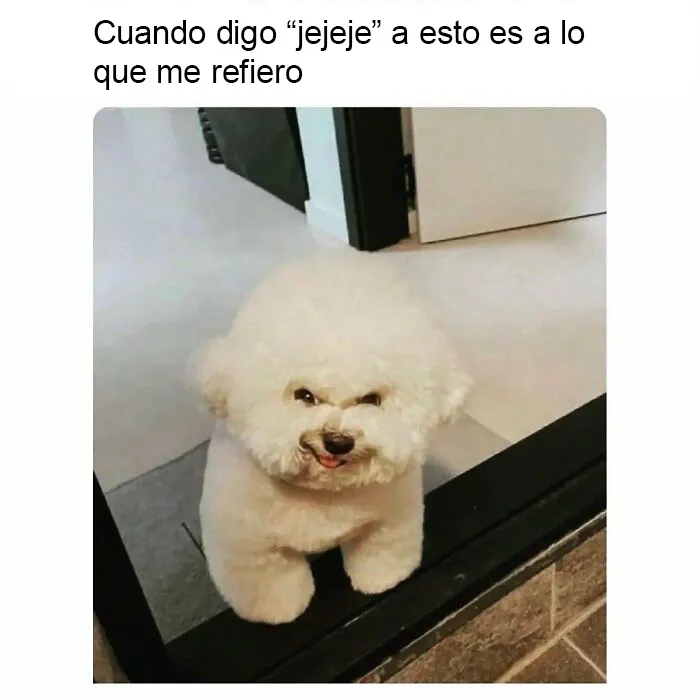 "Sólo sarcasmo": 20 memes divertidísimos para alegrarte el día