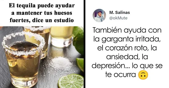 "Sólo sarcasmo": 20 memes divertidísimos para alegrarte el día