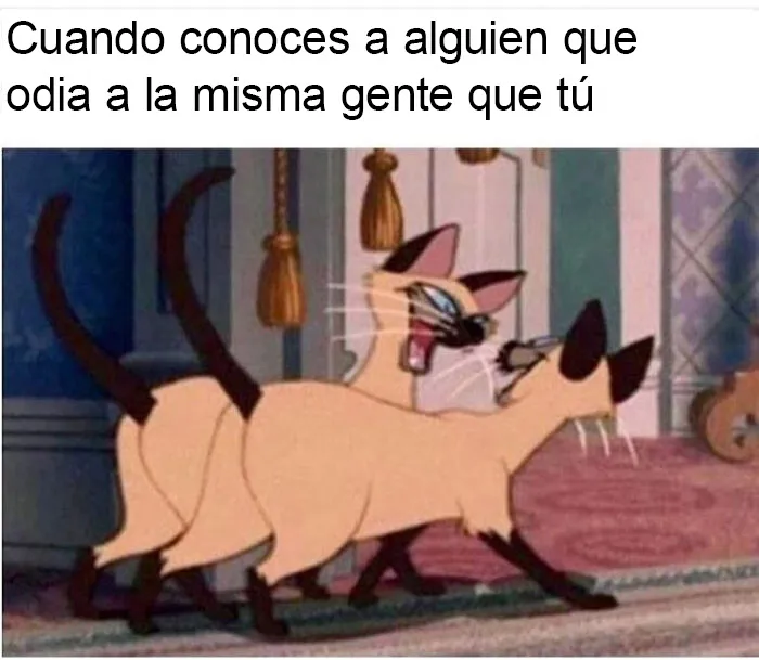 20 Memes más que familiares, presentados en estas dos páginas de Instagram