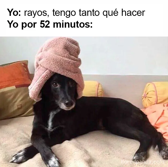 20 Memes más que familiares, presentados en estas dos páginas de Instagram