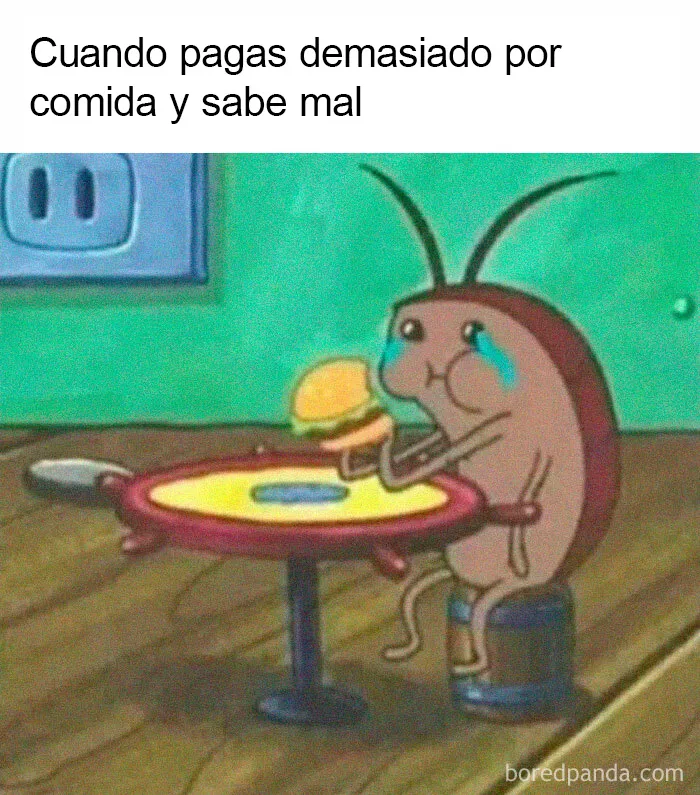 20 Memes más que familiares, presentados en estas dos páginas de Instagram