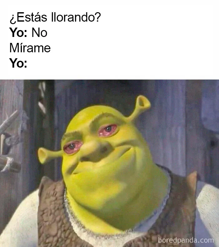 20 Memes más que familiares, presentados en estas dos páginas de Instagram