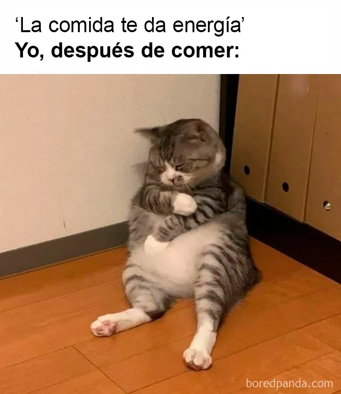20 Memes más que familiares, presentados en estas dos páginas de Instagram