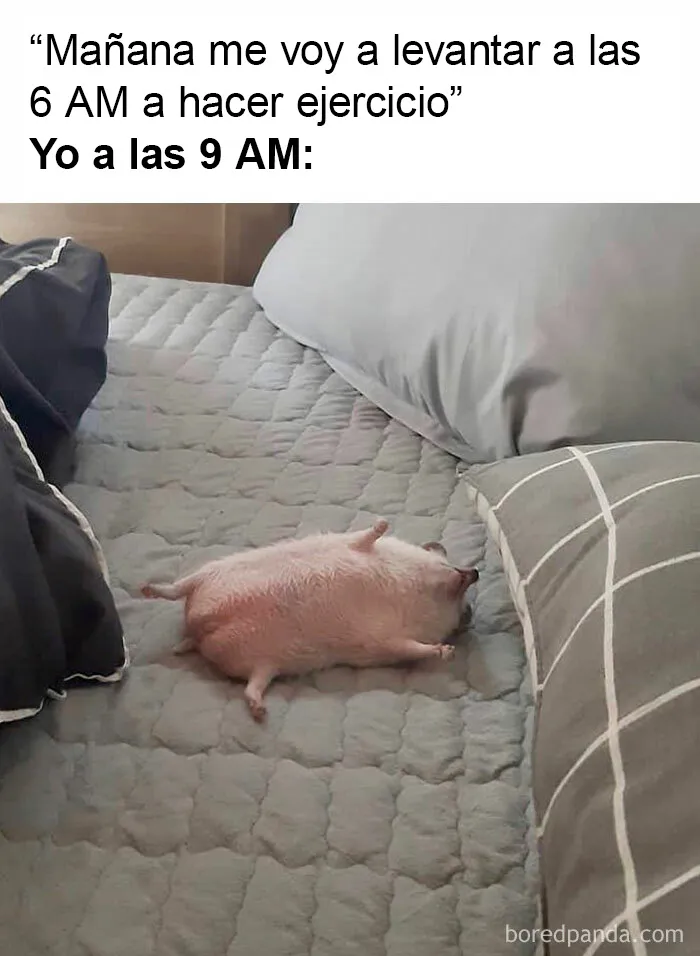 20 Memes más que familiares, presentados en estas dos páginas de Instagram