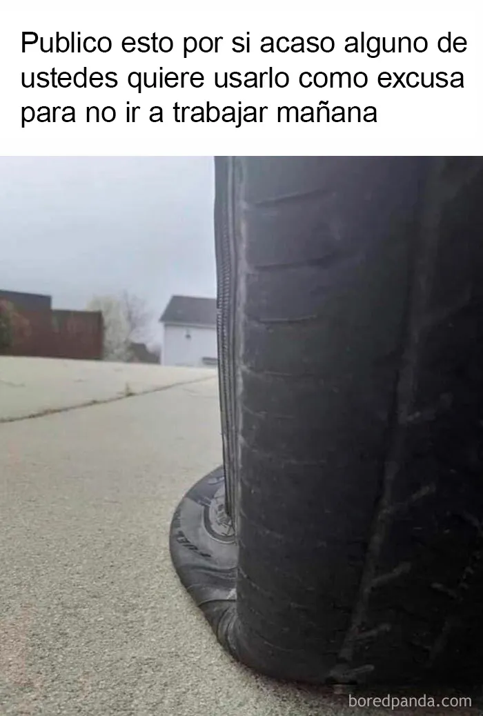 20 Memes laborales dolorosamente graciosos con los que identificarse (nuevas imágenes)