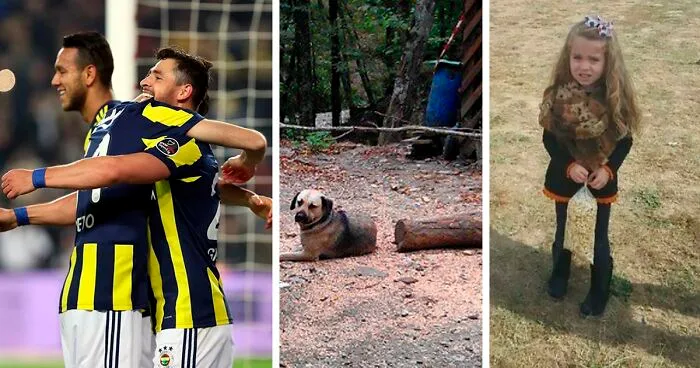 40 Fotos realmente confusas que parecen editadas hasta que las miras dos veces, compartidas por esta cuenta de Twitter