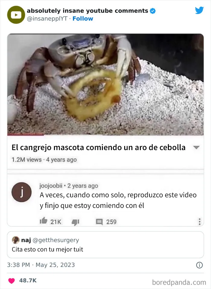 20 Comentarios de YouTube tan disparatados que había que compartirlos (nuevas imágenes)