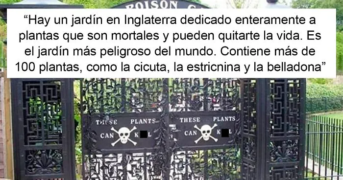 20 Datos sorprendentes e interesantes que amplían nuestra conocimiento del mundo y te alegran el último día de trabajo de la semana