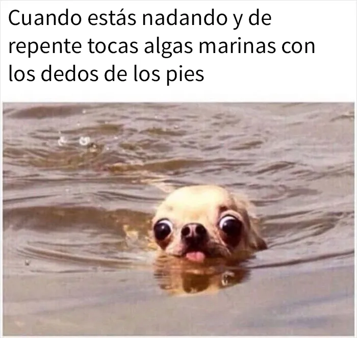 A la gente le parecen muy divertidos estos 20 memes que representan lo que es ser mujer