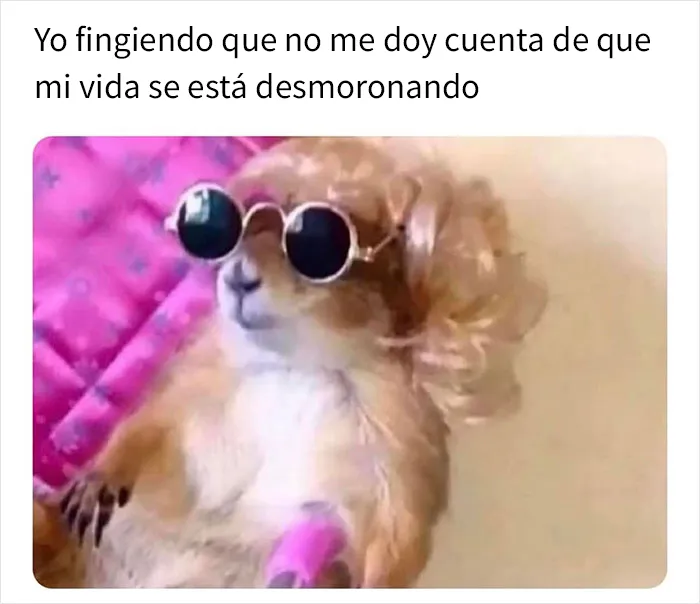 A la gente le parecen muy divertidos estos 20 memes que representan lo que es ser mujer