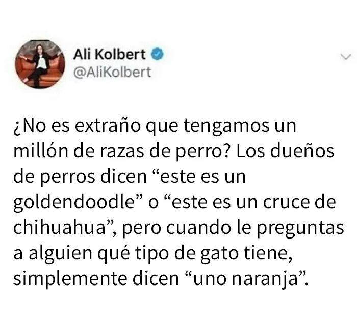 20 Memes para disfrutar del humor británico en tu pantalla