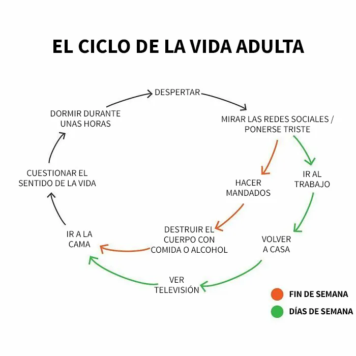 20 nuevos gráficos honestos y divertidos de Matt Shirley que resumen perfectamente nuestras vidas