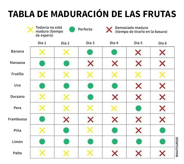 20 nuevos gráficos honestos y divertidos de Matt Shirley que resumen perfectamente nuestras vidas