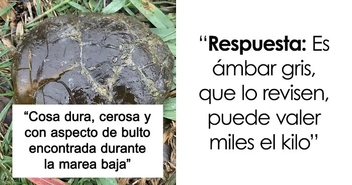 25 Personas que no tenían ni idea de lo que estaban viendo y pidieron ayuda a Internet (nuevas fotos)