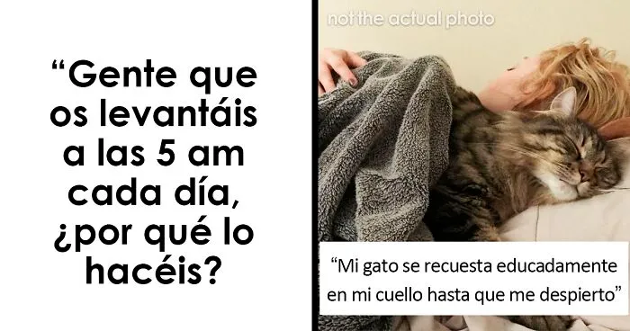 25 Personas explican las razones por las que madrugan y sus respuestas son muy dispares