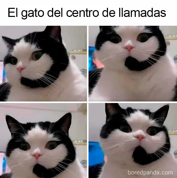 20 Divertidos memes sobre el trabajo y la vida adulta que te harán reír y llorar a la vez