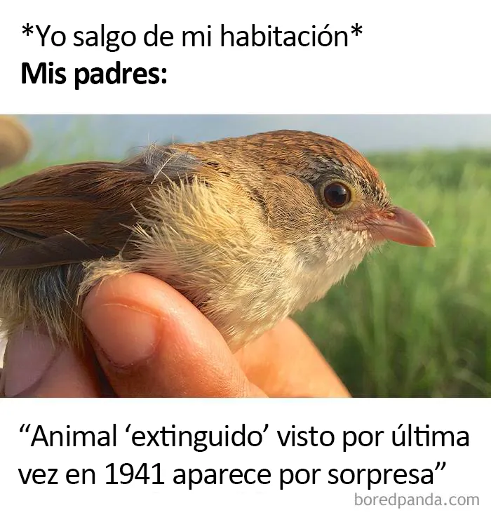 20 Divertidos memes sobre introvertidos que demuestran que no hace falta hablar mucho para tener gracia