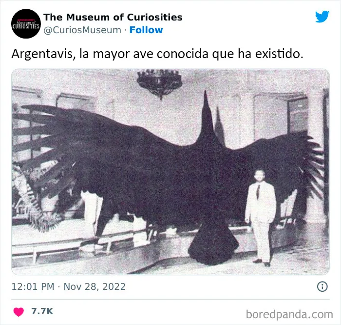 25 Hallazgos interesantes, extraños e inquietantes compartidos en este museo online (nuevas fotos)