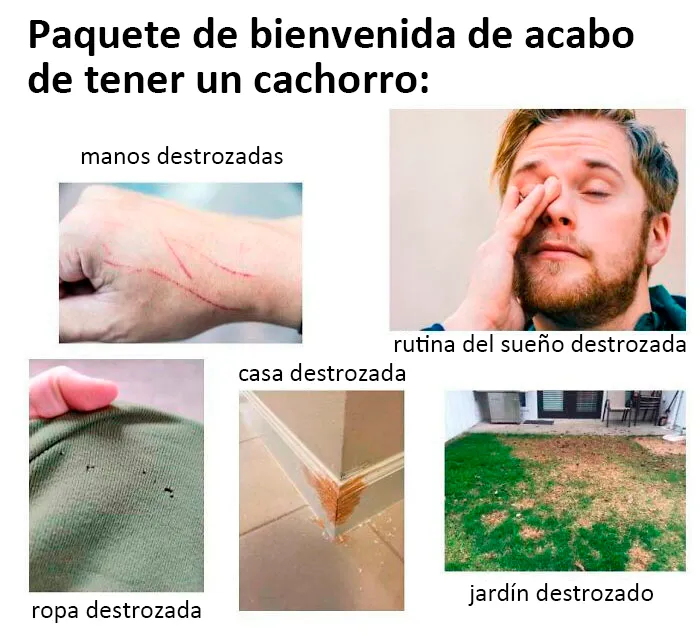 20 "Paquetes de Bienvenida" tan acertados que casi resultan ofensivos