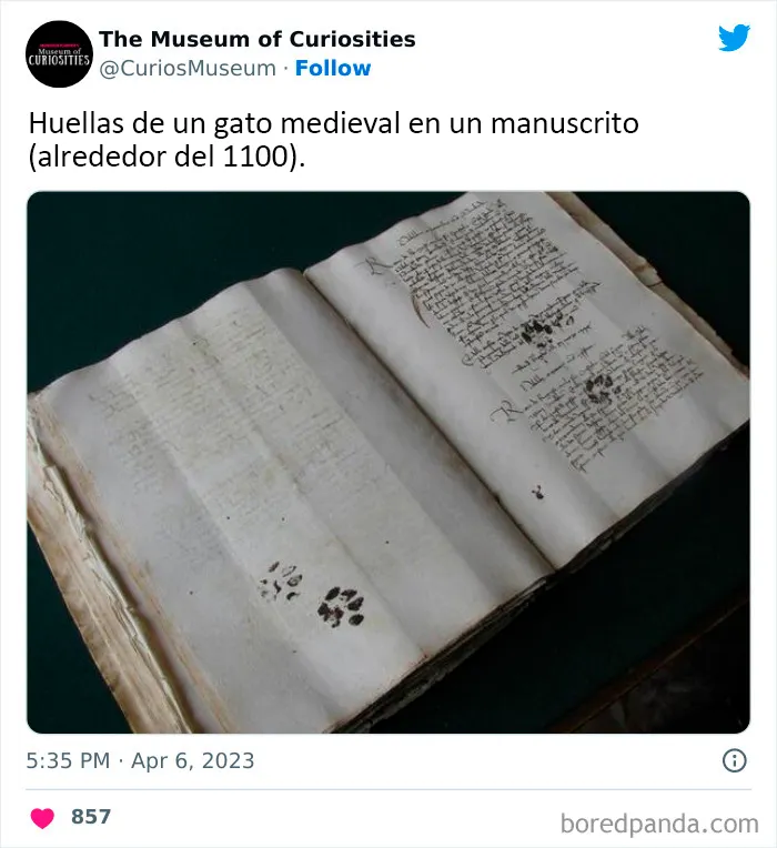 25 Hallazgos interesantes, extraños e inquietantes compartidos en este museo online (nuevas fotos)