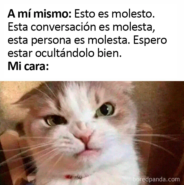 20 Divertidos memes sobre introvertidos que demuestran que no hace falta hablar mucho para tener gracia