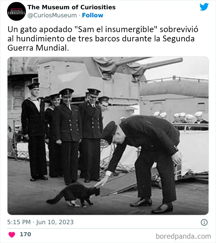 25 Hallazgos interesantes, extraños e inquietantes compartidos en este museo online (nuevas fotos)