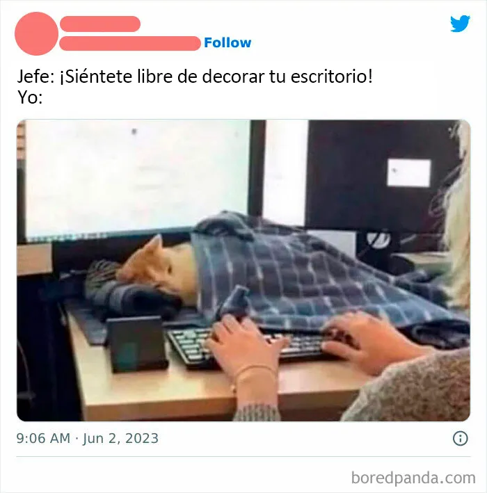 20 Divertidos memes sobre el trabajo y la vida adulta que te harán reír y llorar a la vez