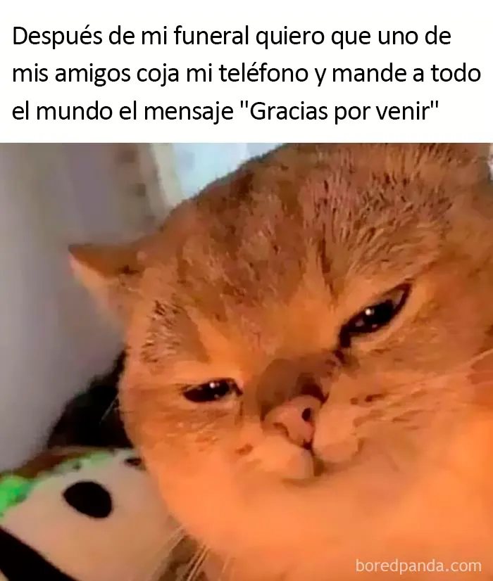 20 Divertidísimos memes para el empezar el fin de semana con buen humor
