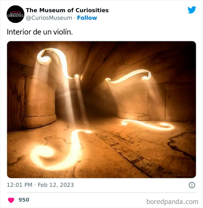 25 Hallazgos interesantes, extraños e inquietantes compartidos en este museo online (nuevas fotos)