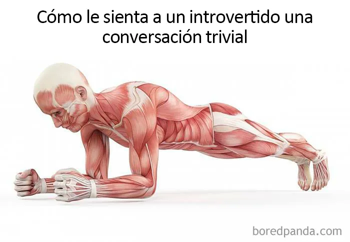 20 Divertidos memes sobre introvertidos que demuestran que no hace falta hablar mucho para tener gracia