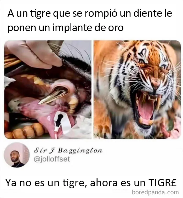 20 Memes divertidos y familiares con muchos juegos de palabras incluidos