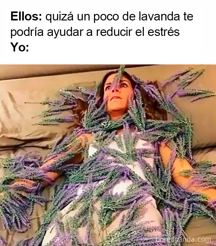 20 Divertidos memes sobre introvertidos que demuestran que no hace falta hablar mucho para tener gracia