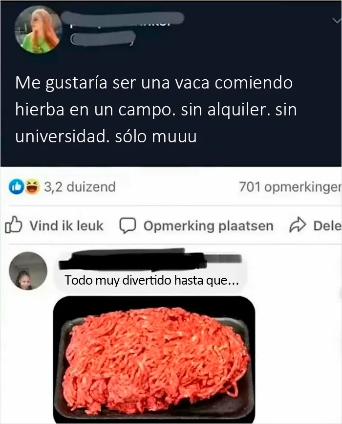 20 Comentarios muy malditos que te harán reír o flipar