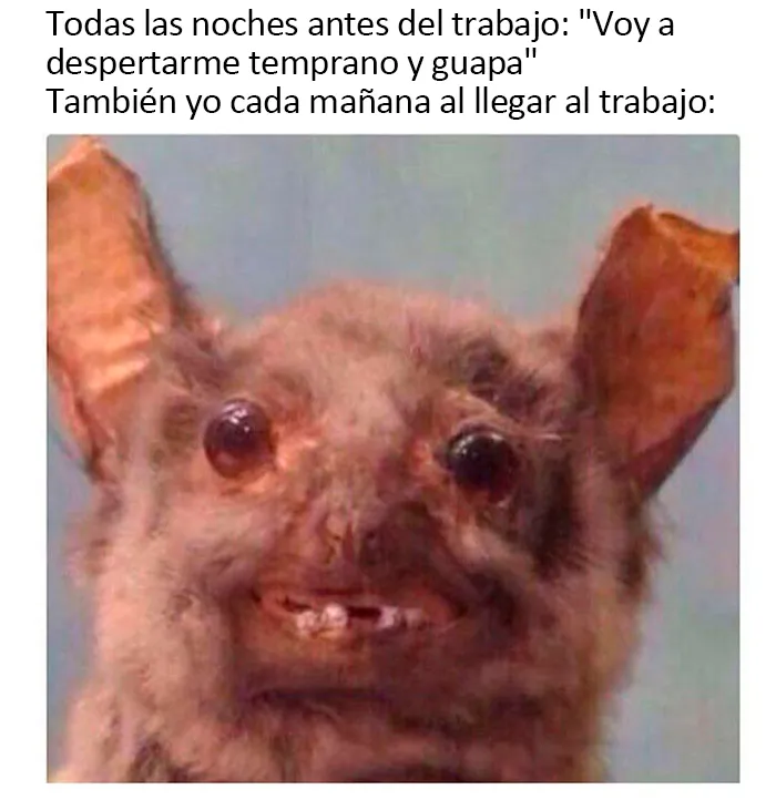 20 Divertidos memes sobre el trabajo y la vida adulta que te harán reír y llorar a la vez