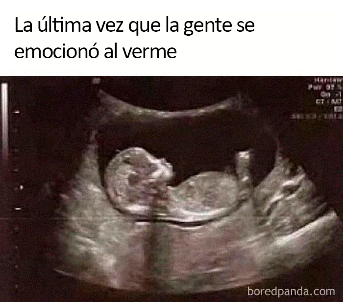 20 Divertidísimos memes para el empezar el fin de semana con buen humor