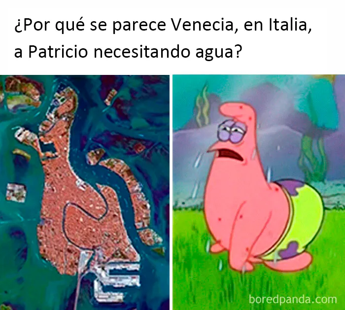 20 Memes divertidos y familiares con muchos juegos de palabras incluidos