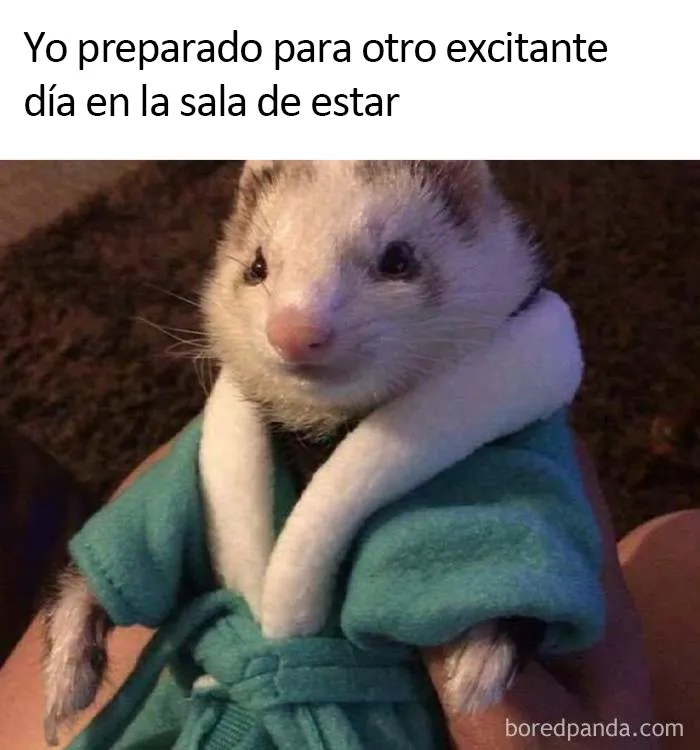 20 Divertidos memes sobre introvertidos que demuestran que no hace falta hablar mucho para tener gracia