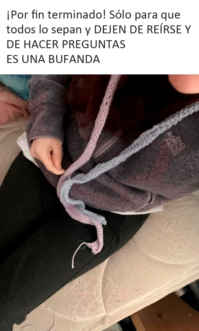 Publicado en un grupo de tejer. Este no es el primer proyecto de la autora del post y es una persona adulta totalmente capaz