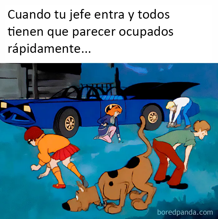 20 Divertidos memes sobre el trabajo y la vida adulta que te harán reír y llorar a la vez