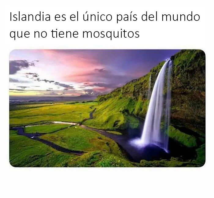 Dato curioso:
