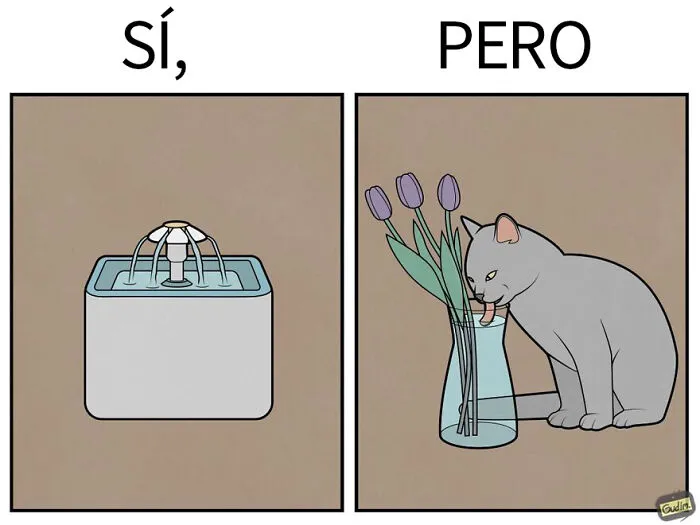 «Sí, pero»: 15 Nuevas e ingeniosas ilustraciones sobre nuestras contradicciones humanas (edición mascotas)