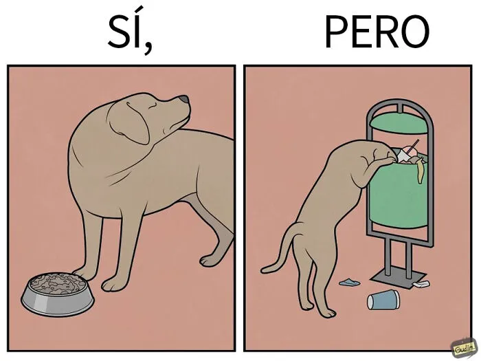 «Sí, pero»: 15 Nuevas e ingeniosas ilustraciones sobre nuestras contradicciones humanas (edición mascotas)