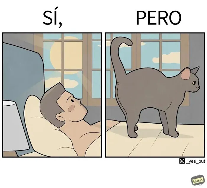 «Sí, pero»: 15 Nuevas e ingeniosas ilustraciones sobre nuestras contradicciones humanas (edición mascotas)