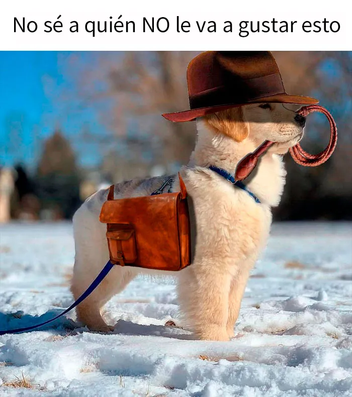 20 Memes divertidos, familiares, o sencillamente tontos