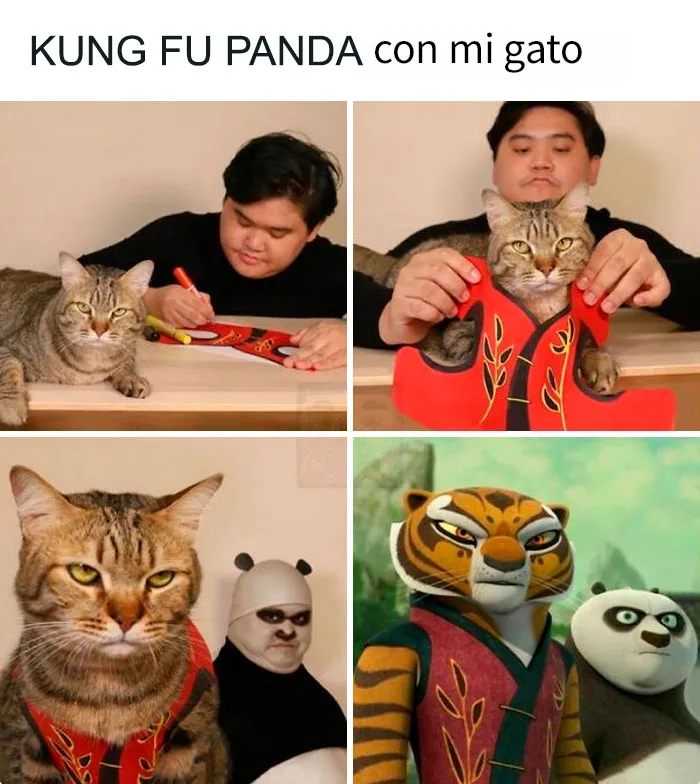 20 Memes divertidos, familiares, o sencillamente tontos