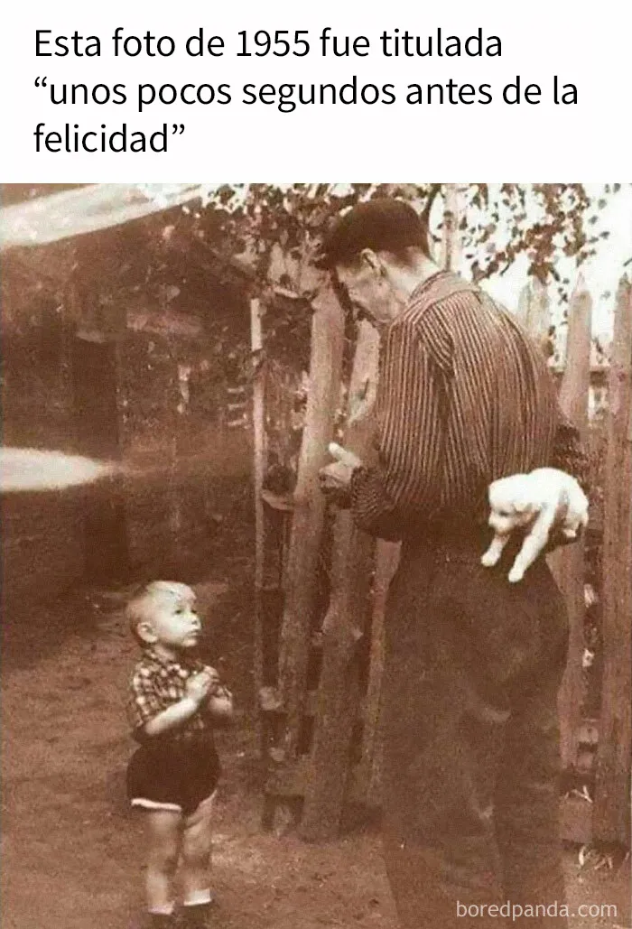 20 Memes divertidos, familiares, o sencillamente tontos
