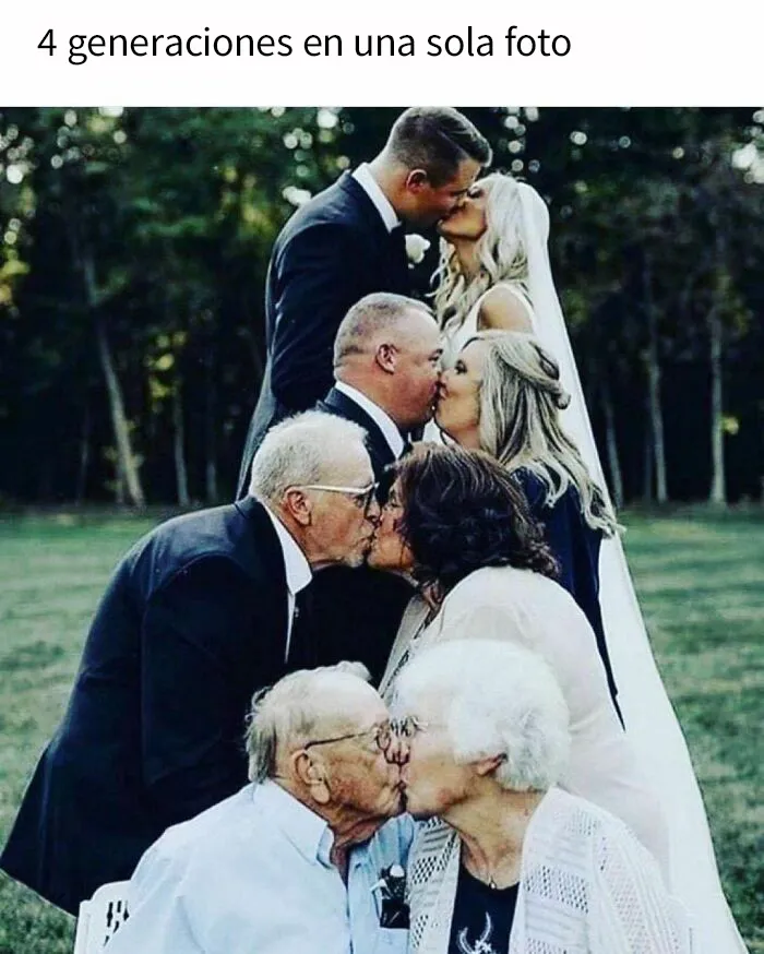 20 Memes divertidos, familiares, o sencillamente tontos