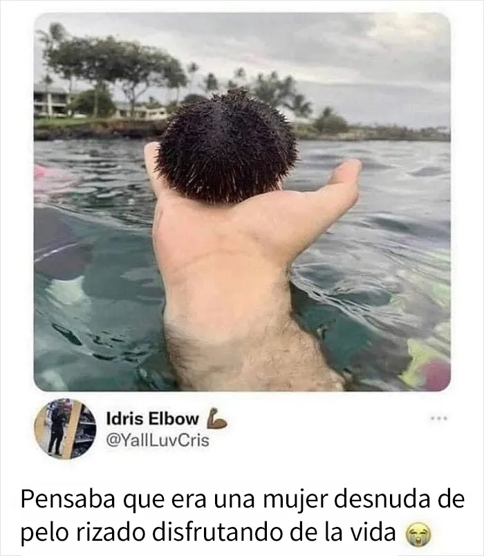 20 Nuevos memes de esta página de «humor para hombres» con 11 millones de seguidores