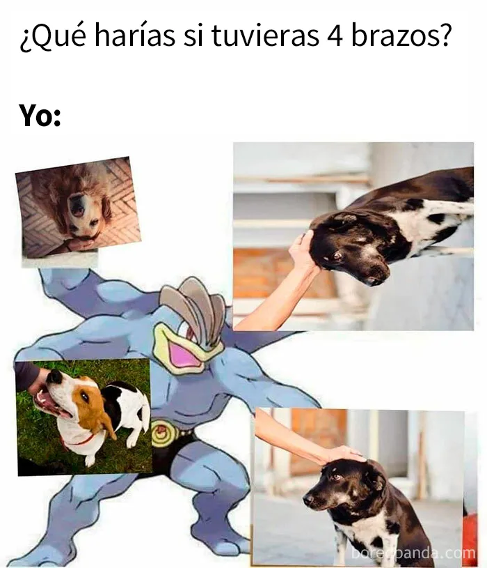 20 Memes y publicaciones reconfortantes para recordarnos que no todo es malo en el mundo